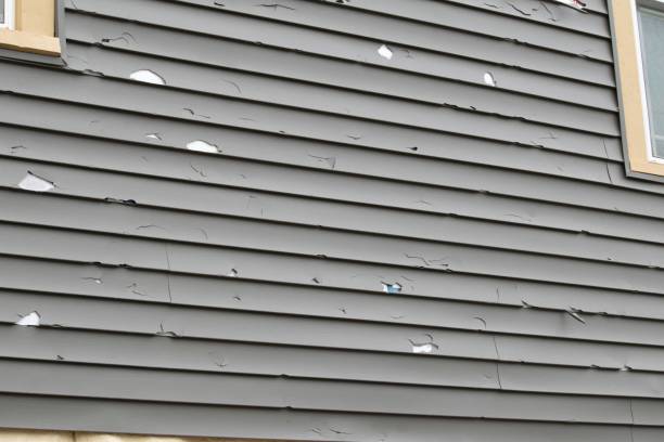 Affordable siding repair and maintenance services in Brillion, WI